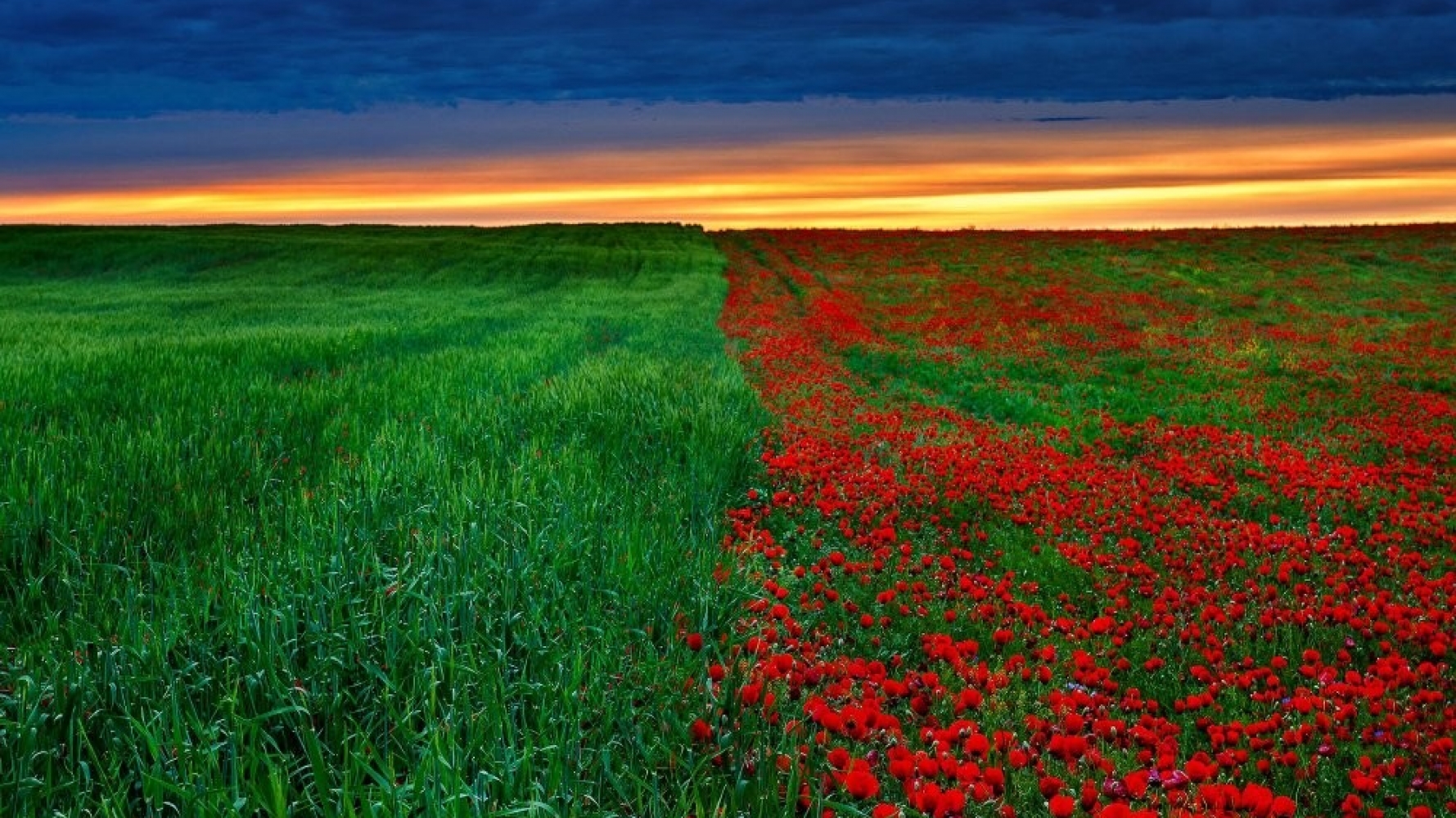 Великая степь