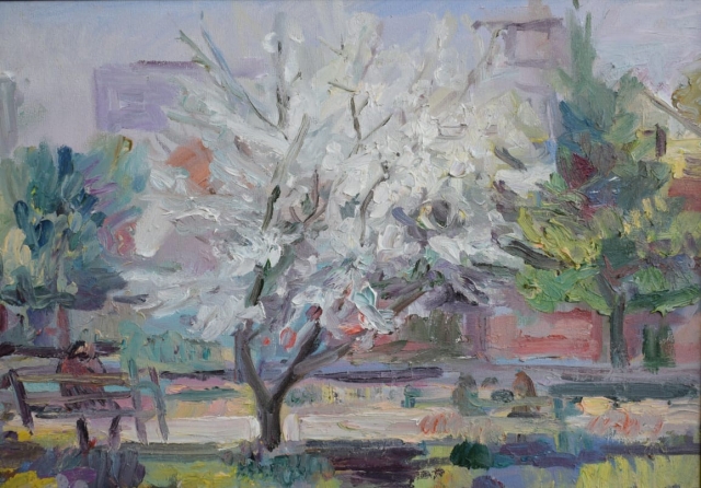 Цветение яблони